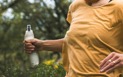 Résultats janvier 2026