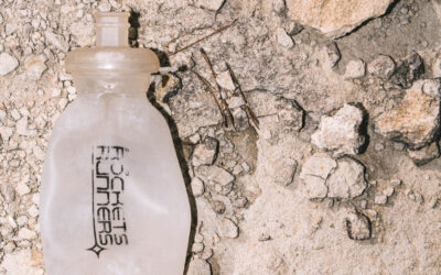 Résultats Février 2026